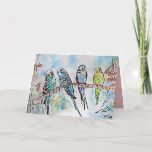 Schöne Budgien Budgerigars und Gum Blossom Card Karte