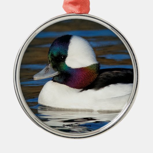 Schöne Bufflehead-Duck am Winterteich Ornament Aus Metall (Vorne)