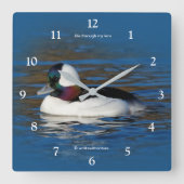 Schöne Bufflehead-Duck am Winterteich Quadratische Wanduhr (Vorderseite)