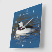 Schöne Bufflehead-Duck am Winterteich Quadratische Wanduhr (Winkel)
