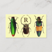 Schöne Bugs | Insekten | Monogramm | Entomologe Visitenkarte (Vorderseite)