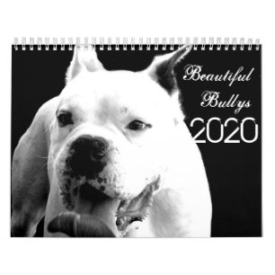 Schöne Bullys 2020 Hundekalender Kalender