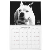 Schöne Bullys 2020 Hundekalender Kalender (Feb 2026)