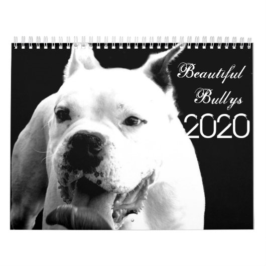 Schöne Bullys 2020 Hundekalender Kalender (Titelbild)