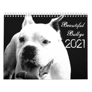 Schöne Bullys 2021 Hundekalender Kalender