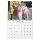 Schöne Bullys 2021 Hundekalender Kalender (Mär 2026)