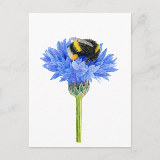 Schöne Bumblebee Zeichnend Postkarte (Vorderseite)