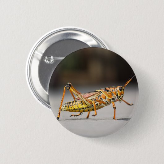 Schöne bunte Heuschrecke in der Nahaufnahme Button (Vorne & Hinten)