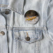 Schöne bunte Heuschrecke in der Nahaufnahme Button (Beispiel)