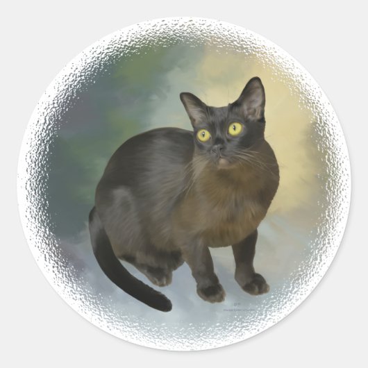 Schöne Burmesin Runder Aufkleber (Vorderseite)