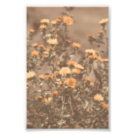 Schöne Burnt Orange farbige Wildblume Bloral Fotodruck