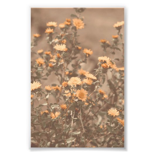 Schöne Burnt Orange farbige Wildblume Bloral Fotodruck (Vorne)