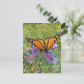 Schöne Butterfly auf Cornblumen Postkarte (Stehend Vorderseite)