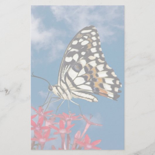 Schöne Butterfly Briefpapier (Vorderseite)