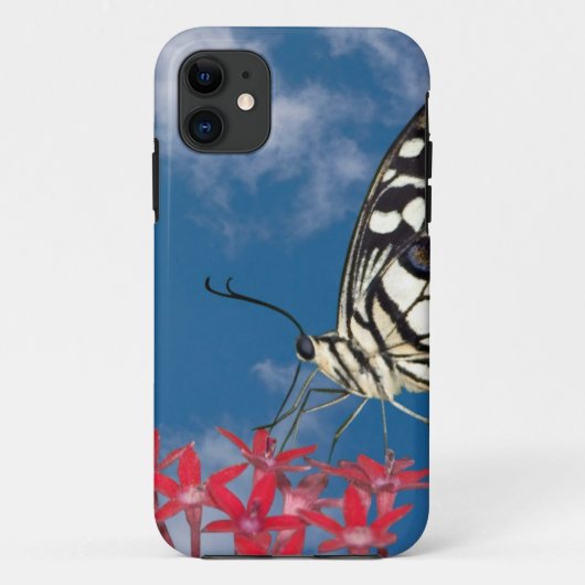 Schöne Butterfly Case-Mate iPhone Hülle (Rückseite)