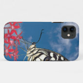 Schöne Butterfly Case-Mate iPhone Hülle (Rückseite (Horizontal))
