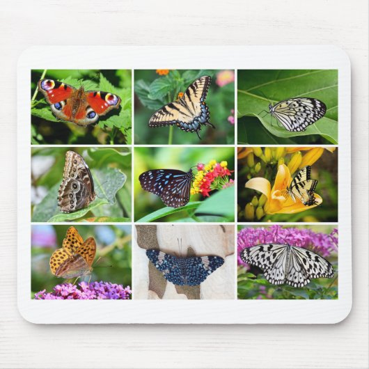 Schöne Butterfly Collage, 9 Fotos Mousepad (Vorne)