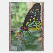 Schöne Butterfly Decke (Vorderseite Vertikal)