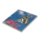 Schöne Butterfly Fliese (Seite)