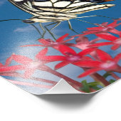 Schöne Butterfly Fotodruck (Ecke)