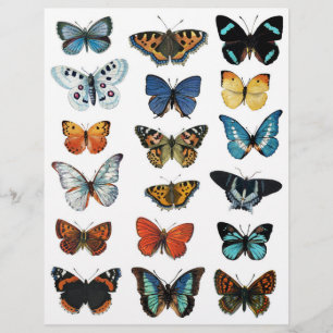 Schöne Butterfly-Illustrationen für das Crafting