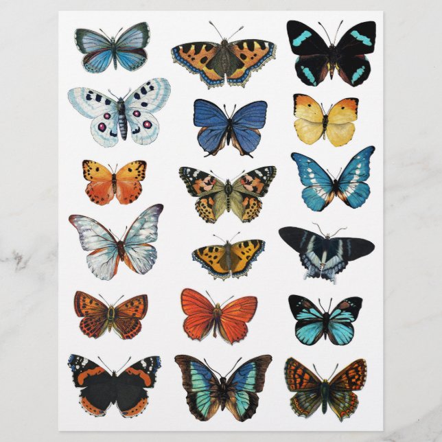 Schöne Butterfly-Illustrationen für das Crafting (Vorderseite)