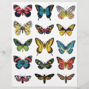Schöne Butterfly-Illustrationen für das Crafting