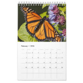 Schöne Butterfly Kalender (Feb 2026)