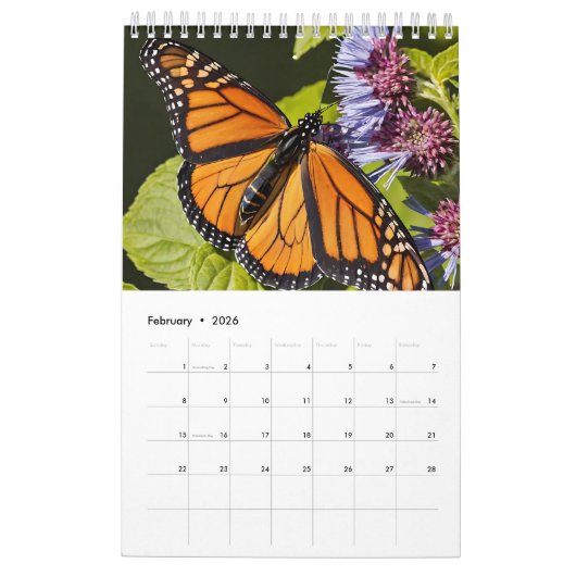 Schöne Butterfly Kalender (Feb 2026)