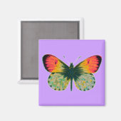 Schöne Butterfly Magnet (Vorderseite/Rückseite)