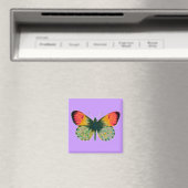 Schöne Butterfly Magnet (In Situ (Geschirrspüler))