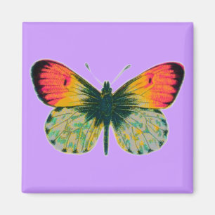 Schöne Butterfly Magnet