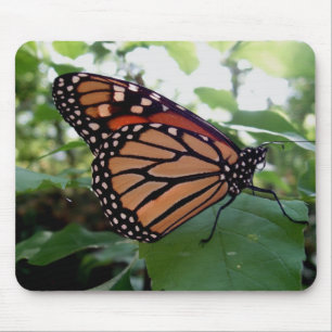 Schöne Butterfly Mousepad