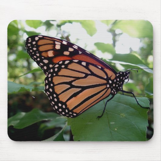 Schöne Butterfly Mousepad (Vorne)