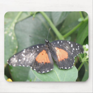 Schöne Butterfly Mousepad
