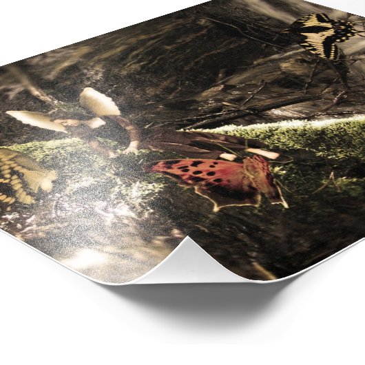 Schöne Butterfly Nature Fairy Fotodruck (Ecke)