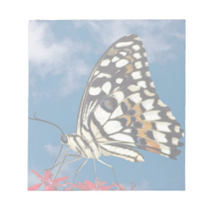 Schöne Butterfly Notizblock