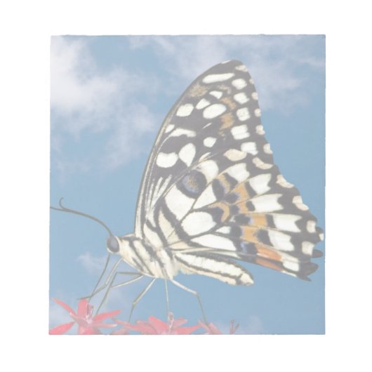 Schöne Butterfly Notizblock (Vorderseite)