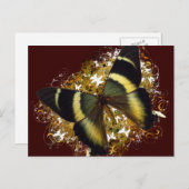 Schöne Butterfly Postkarte (Vorne/Hinten)