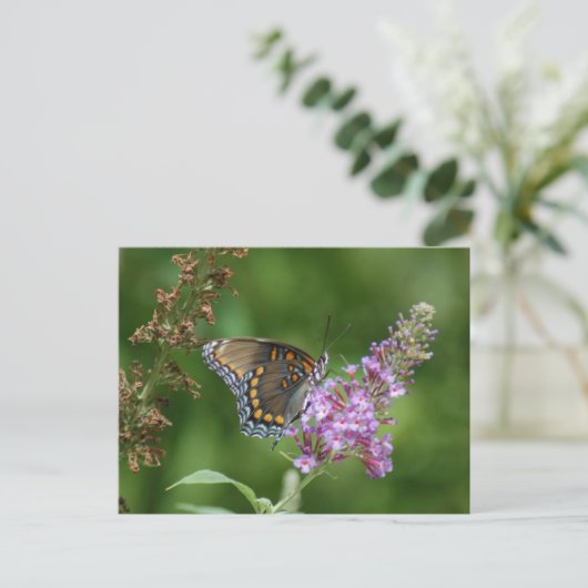SCHÖNE BUTTERFLY POSTKARTE (Stehend Vorderseite)