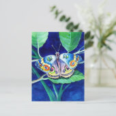 Schöne Butterfly-Postkarte Postkarte (Stehend Vorderseite)