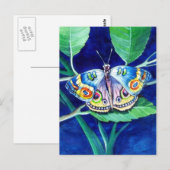 Schöne Butterfly-Postkarte Postkarte (Vorne/Hinten)