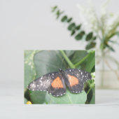 Schöne Butterfly-Postkarte Postkarte (Stehend Vorderseite)