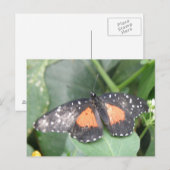 Schöne Butterfly-Postkarte Postkarte (Vorne/Hinten)