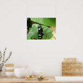 Schöne Butterfly Print Poster (Küche)