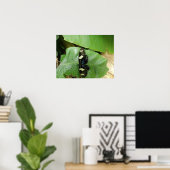 Schöne Butterfly Print Poster (Heimbüro)