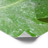 Schöne Butterfly Print Poster (Ecke)