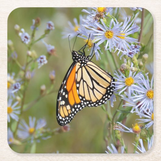 Schöne Butterfly Rechteckiger Pappuntersetzer (Vorderseite)