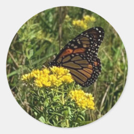 Schöne Butterfly Runder Aufkleber