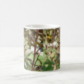 Schöne Butterfly-Tasse Kaffeetasse (Mittel)